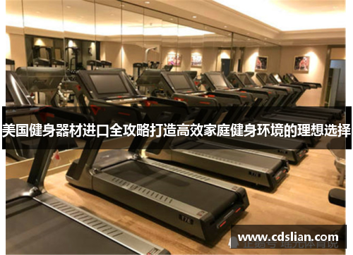 美国健身器材进口全攻略打造高效家庭健身环境的理想选择