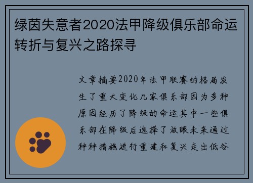 绿茵失意者2020法甲降级俱乐部命运转折与复兴之路探寻