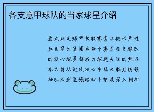 各支意甲球队的当家球星介绍