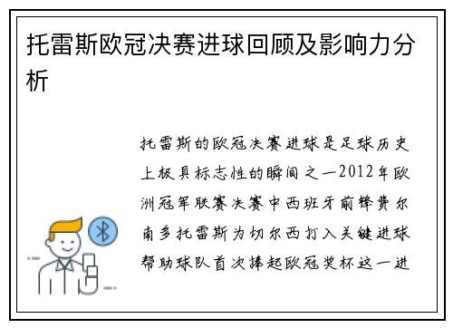 托雷斯欧冠决赛进球回顾及影响力分析