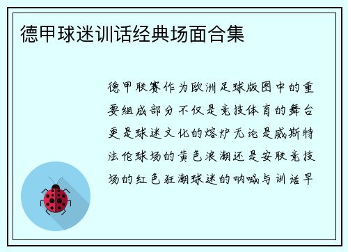 德甲球迷训话经典场面合集